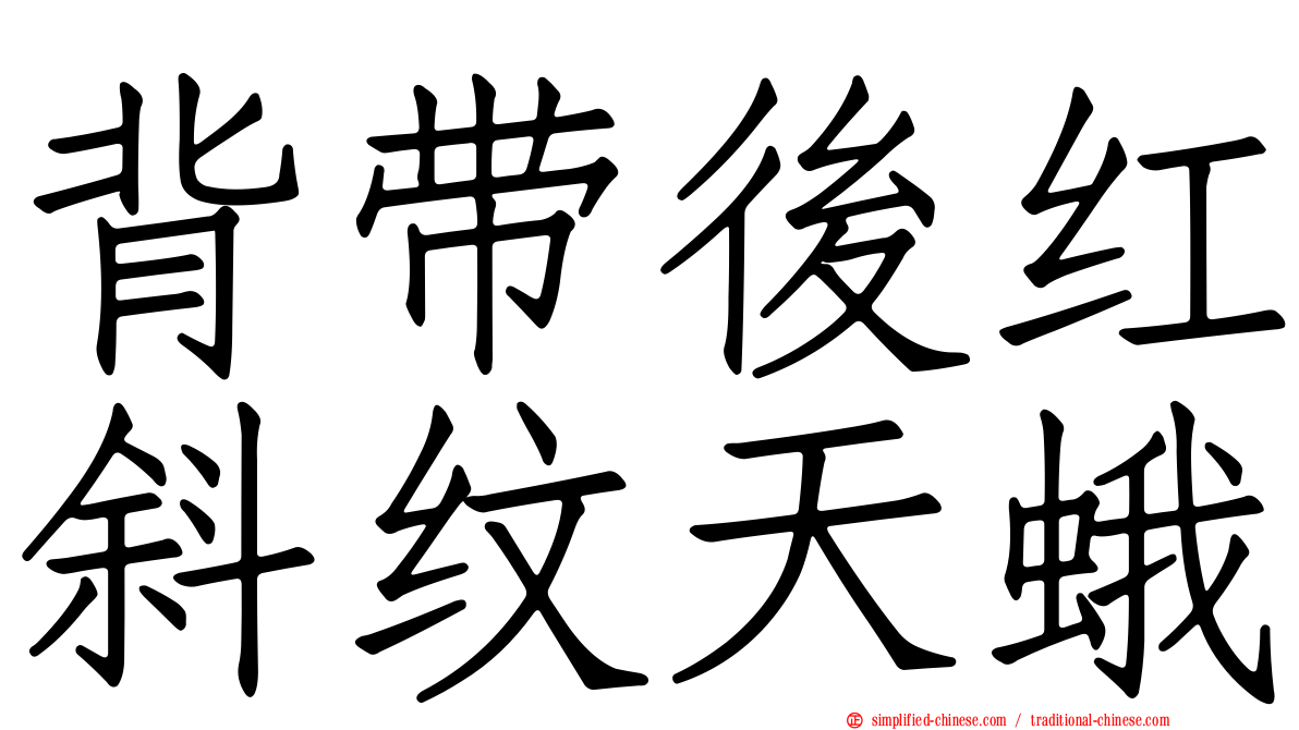 背带后红斜纹天蛾