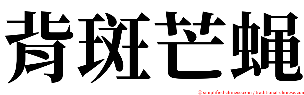背斑芒蝇 serif font