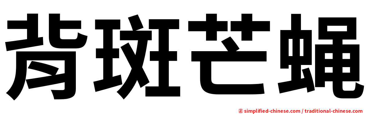背斑芒蝇