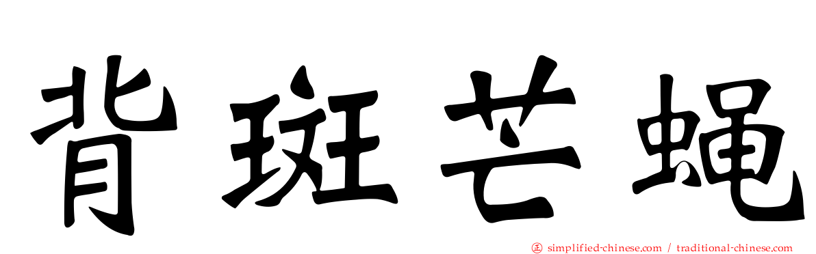 背斑芒蝇