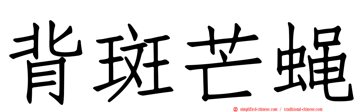 背斑芒蝇