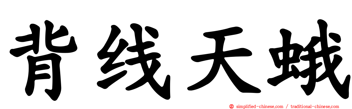 背线天蛾