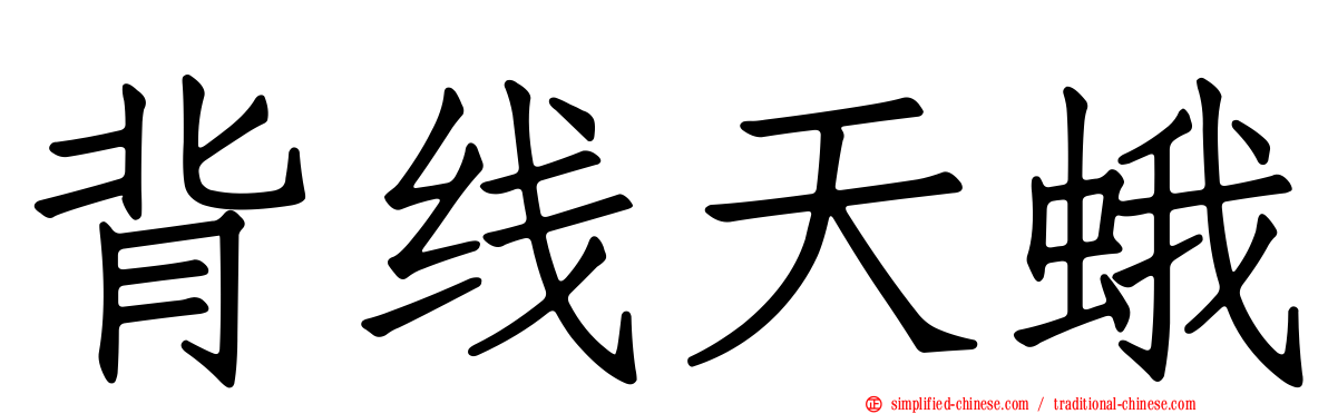 背线天蛾