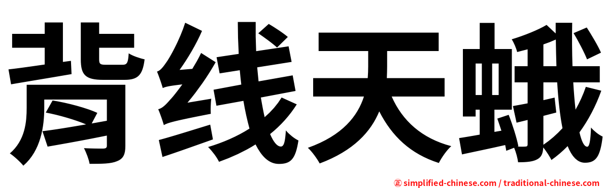 背线天蛾