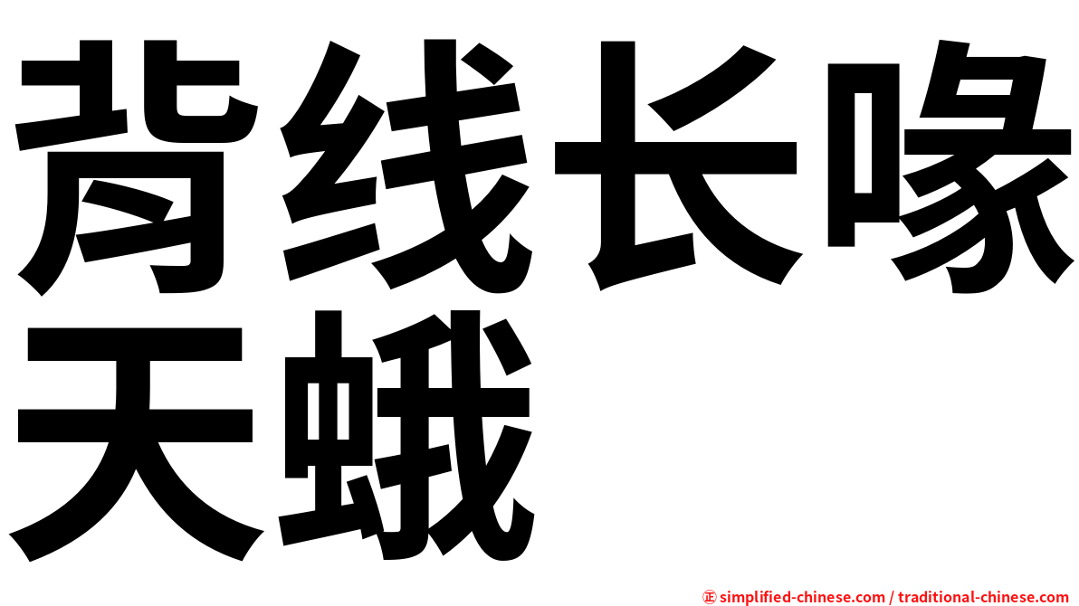 背线长喙天蛾