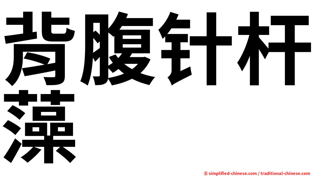 背腹针杆藻