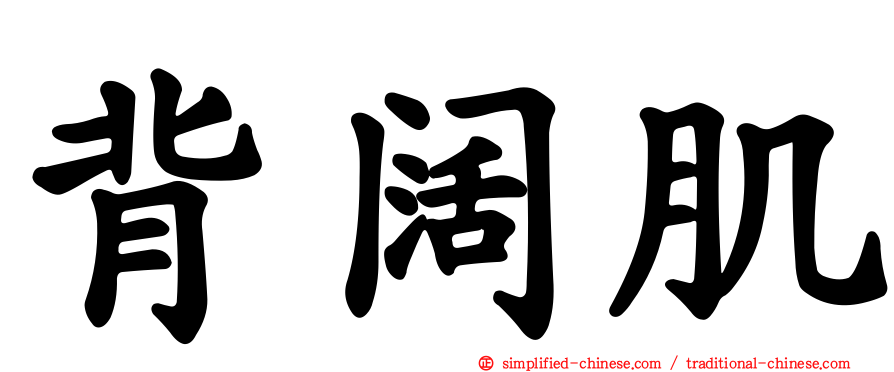 背阔肌