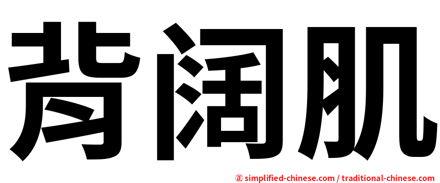 背阔肌