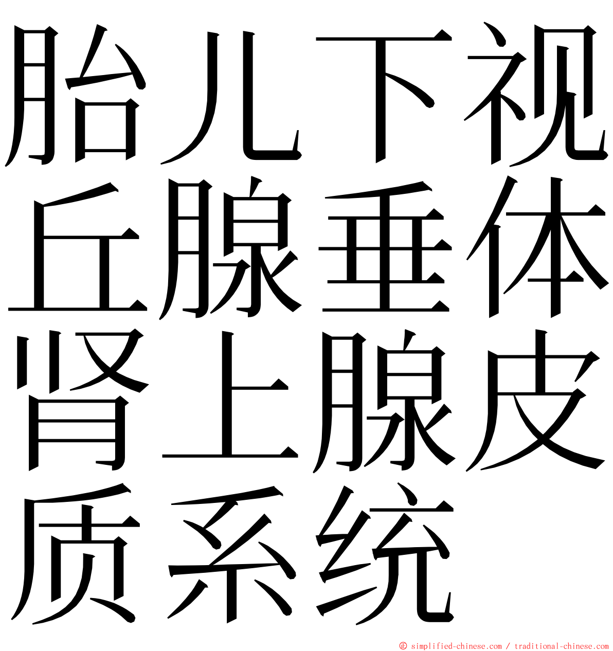 胎儿下视丘腺垂体肾上腺皮质系统 ming font