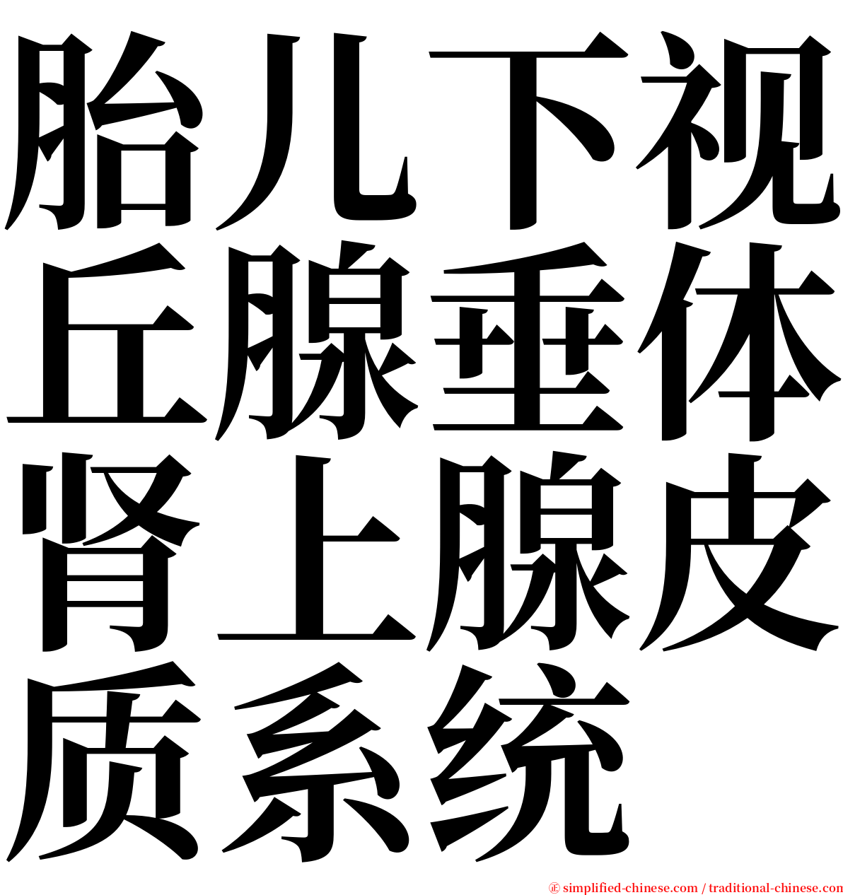 胎儿下视丘腺垂体肾上腺皮质系统 serif font