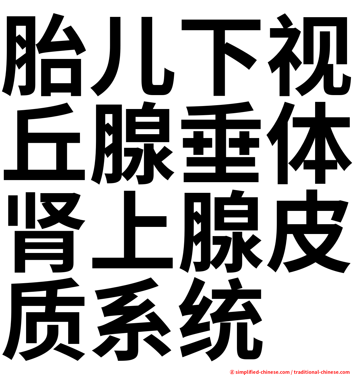 胎儿下视丘腺垂体肾上腺皮质系统