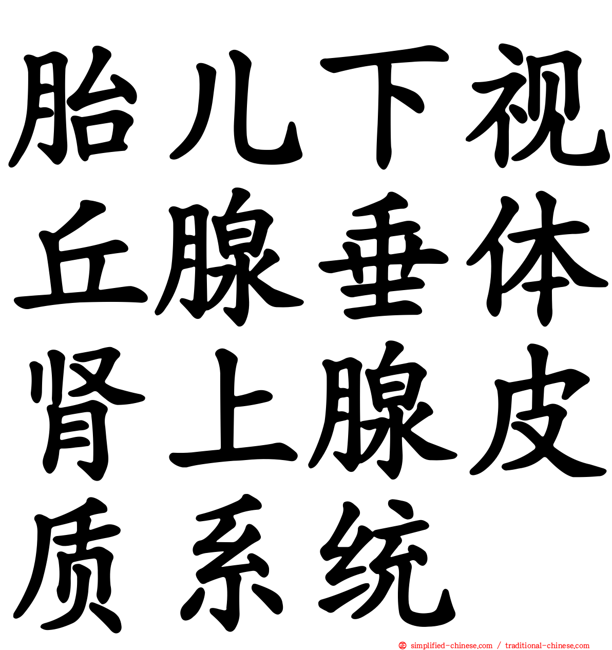 胎儿下视丘腺垂体肾上腺皮质系统
