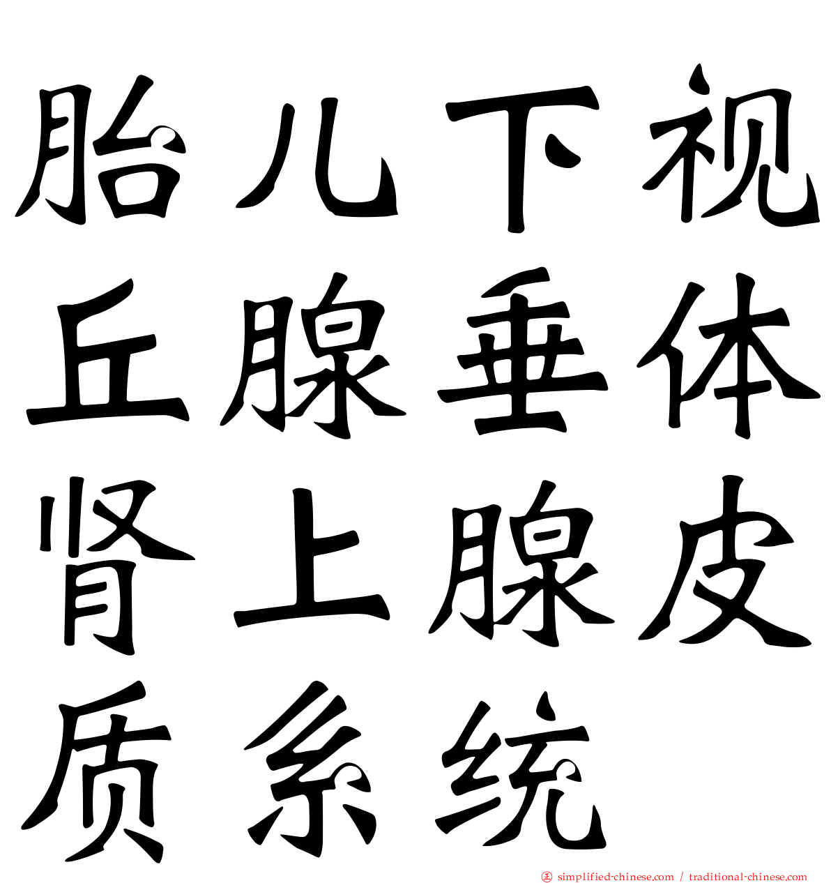 胎儿下视丘腺垂体肾上腺皮质系统