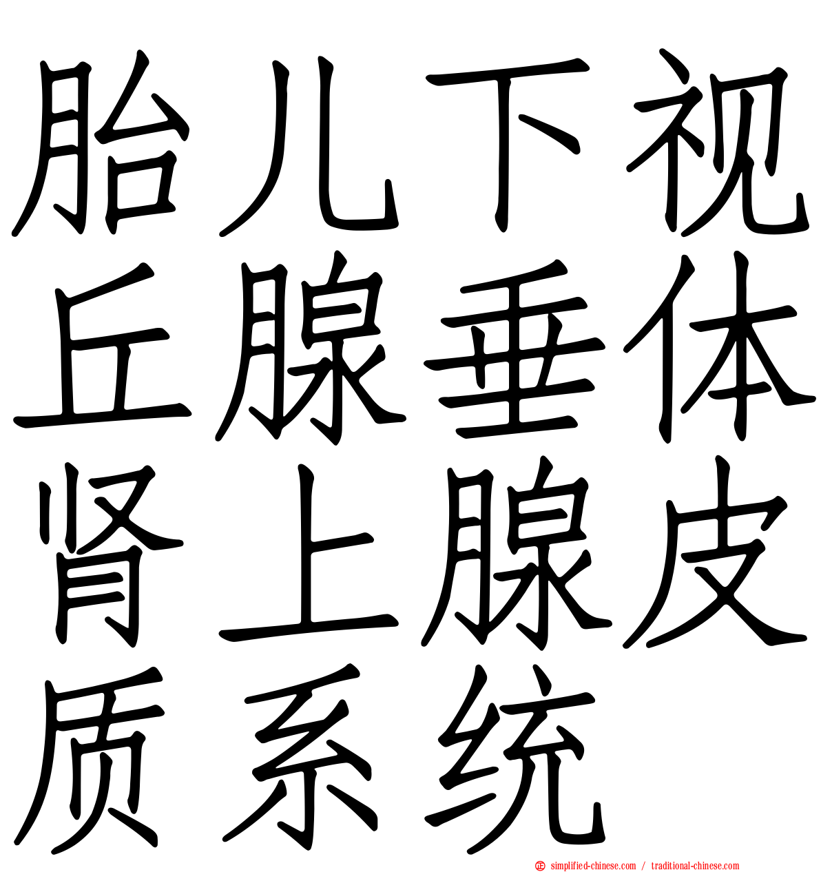 胎儿下视丘腺垂体肾上腺皮质系统
