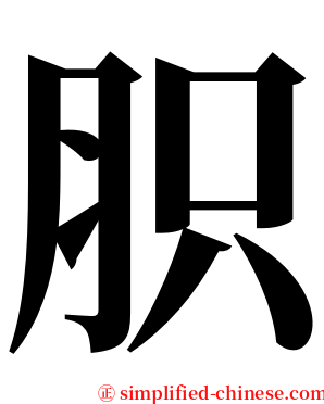 胑 serif font