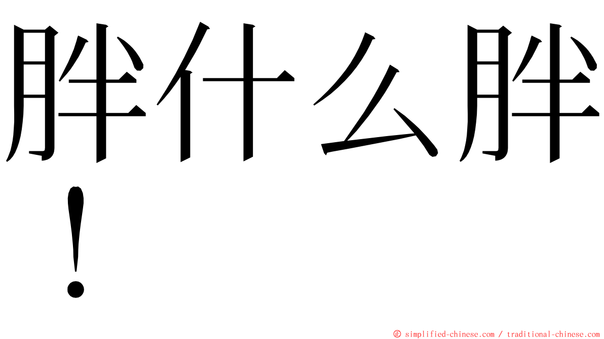 胖什么胖！ ming font