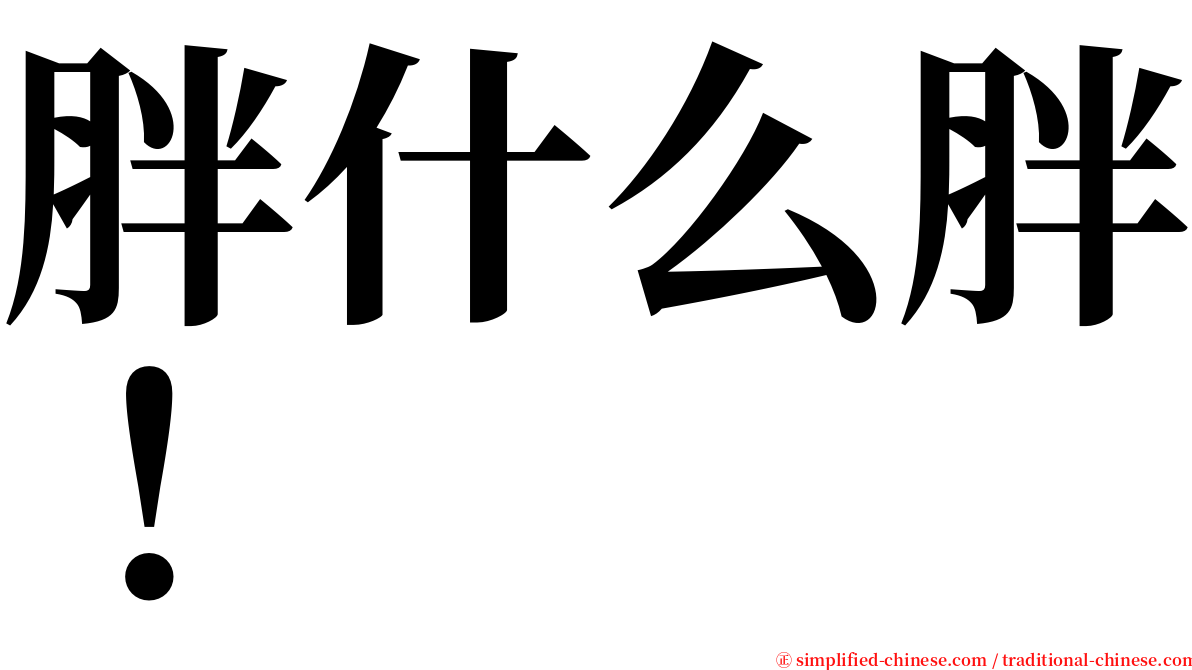 胖什么胖！ serif font