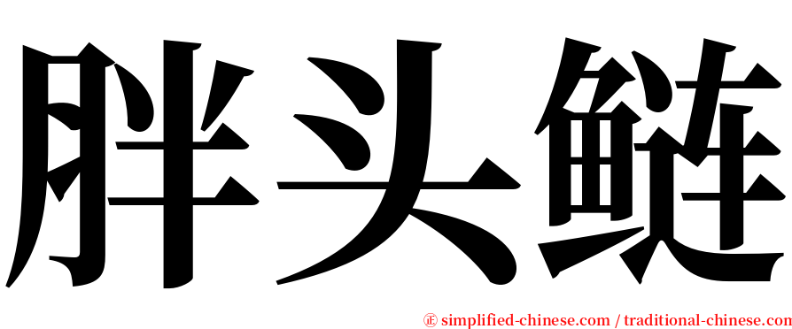 胖头鲢 serif font