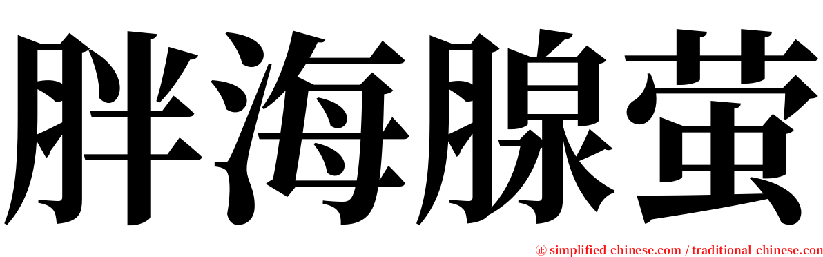 胖海腺萤 serif font