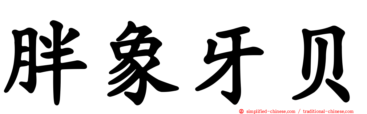 胖象牙贝
