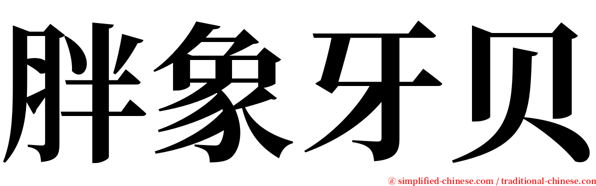 胖象牙贝 serif font