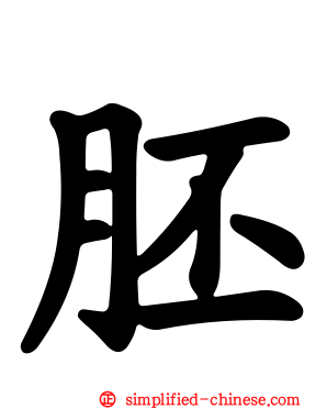 胚