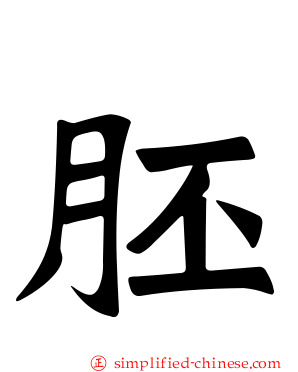胚