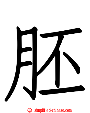 胚