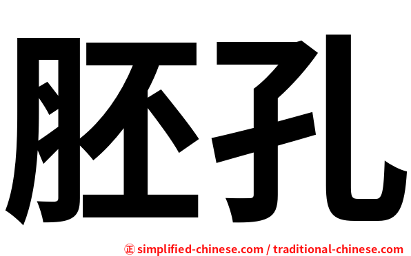 胚孔