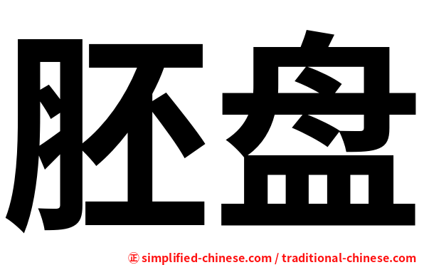 胚盘