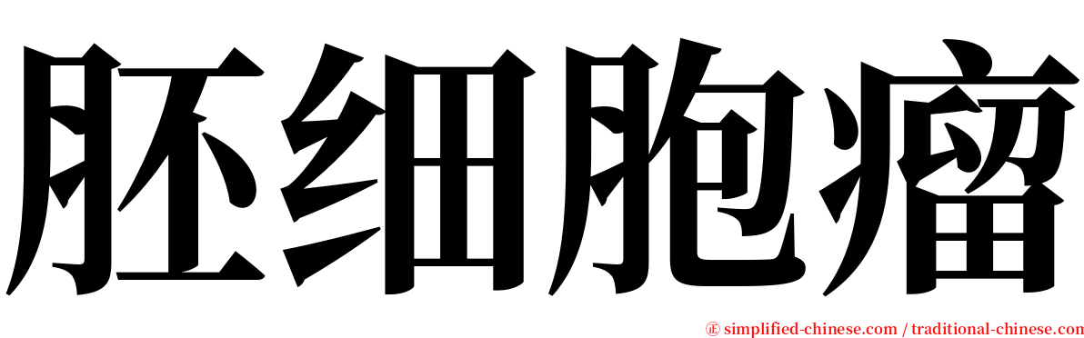 胚细胞瘤 serif font