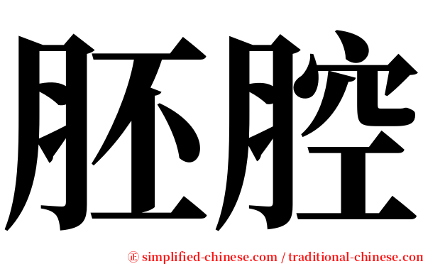 胚腔 serif font
