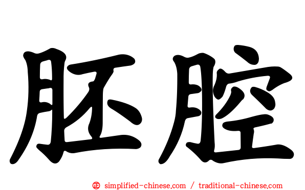 胚腔