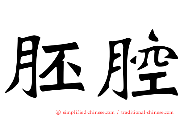 胚腔
