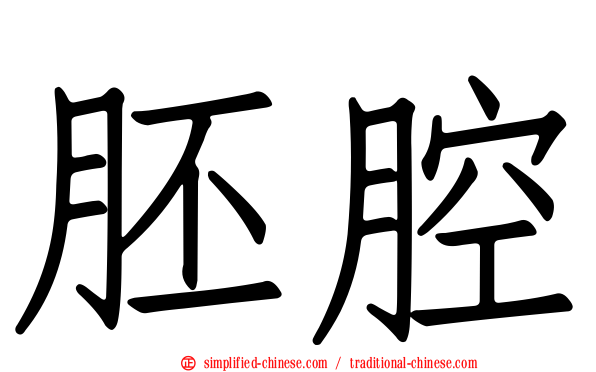 胚腔