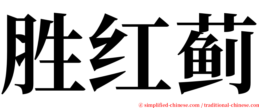 胜红蓟 serif font