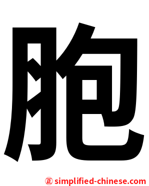 胞