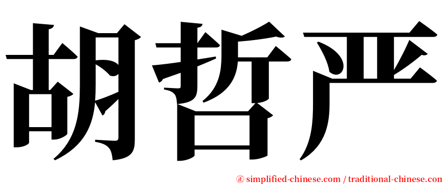 胡哲严 serif font