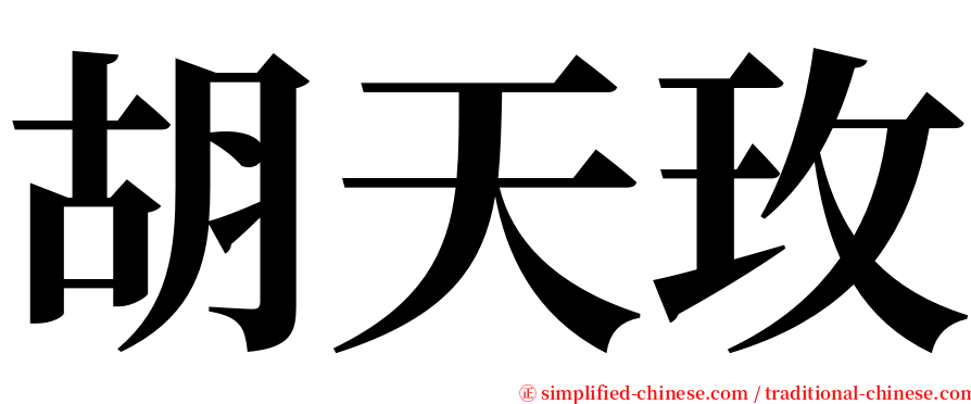 胡天玫 serif font