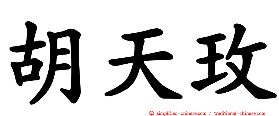 胡天玫