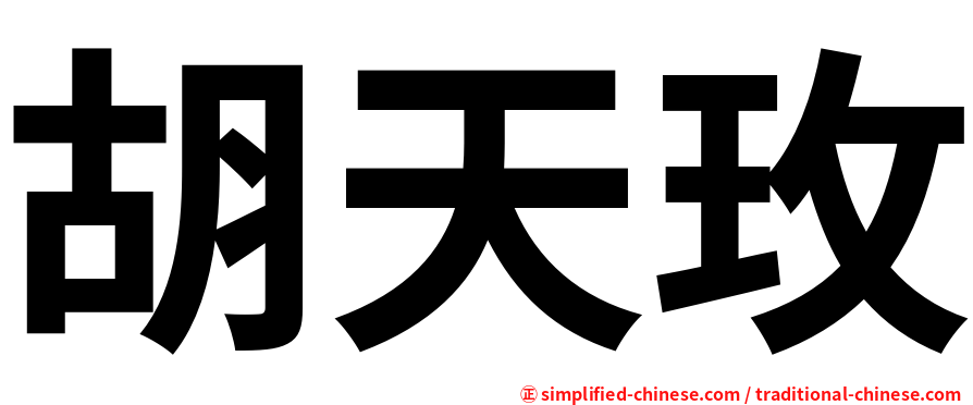 胡天玫