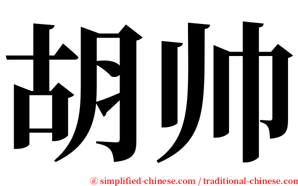 胡帅 serif font