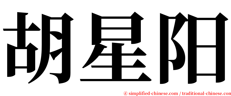 胡星阳 serif font