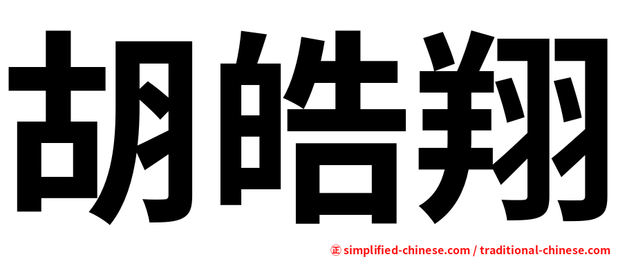 胡皓翔