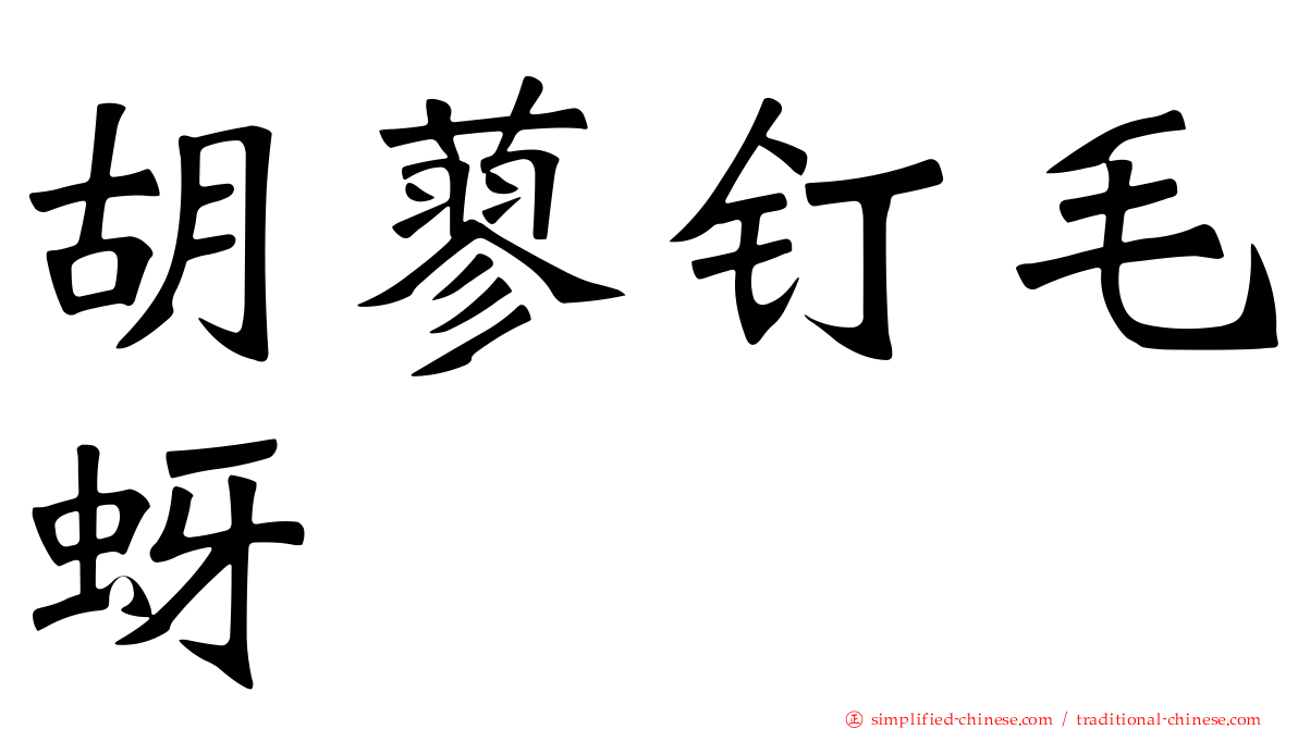 胡蓼钉毛蚜
