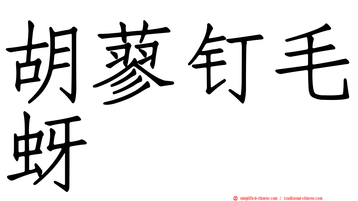 胡蓼钉毛蚜