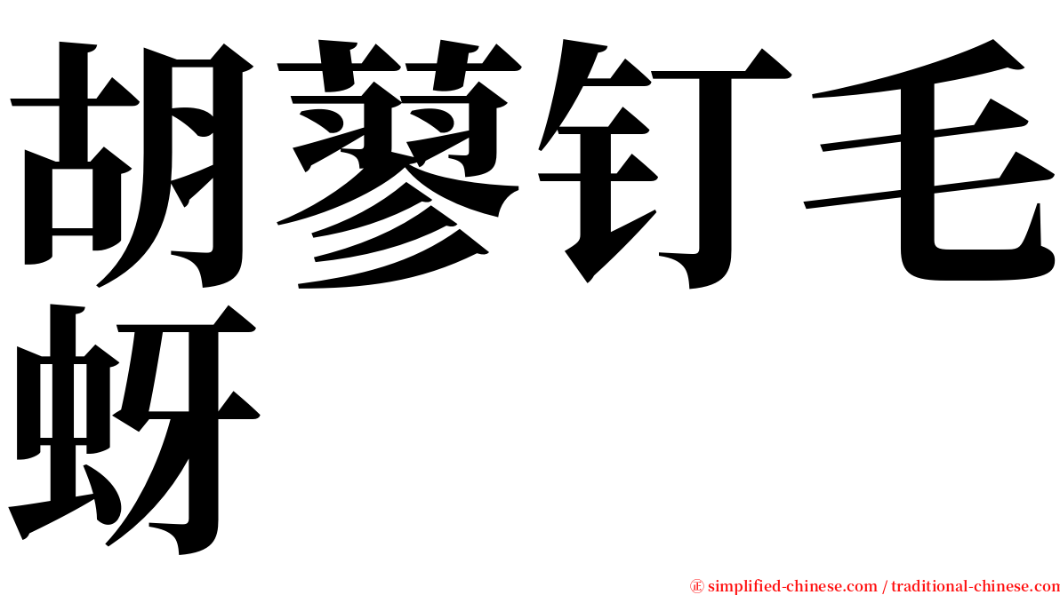 胡蓼钉毛蚜 serif font