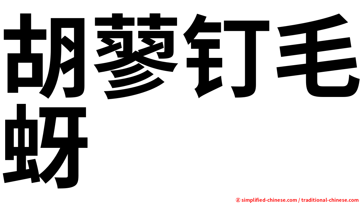 胡蓼钉毛蚜