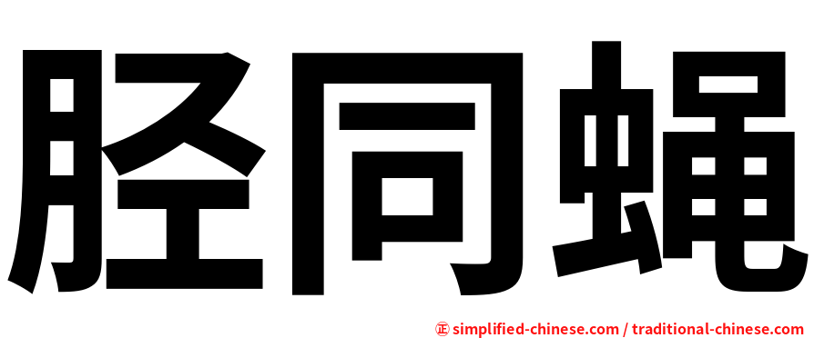 胫同蝇