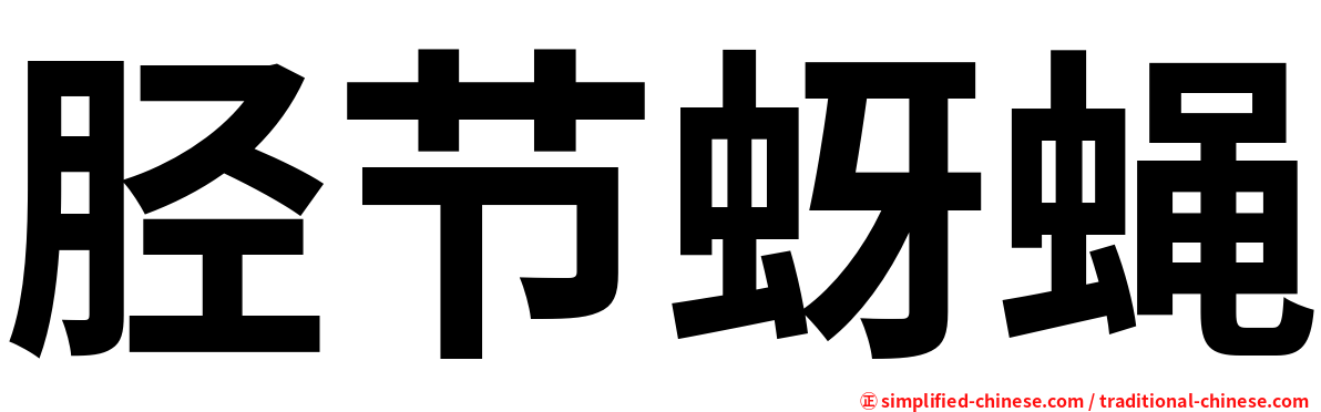 胫节蚜蝇